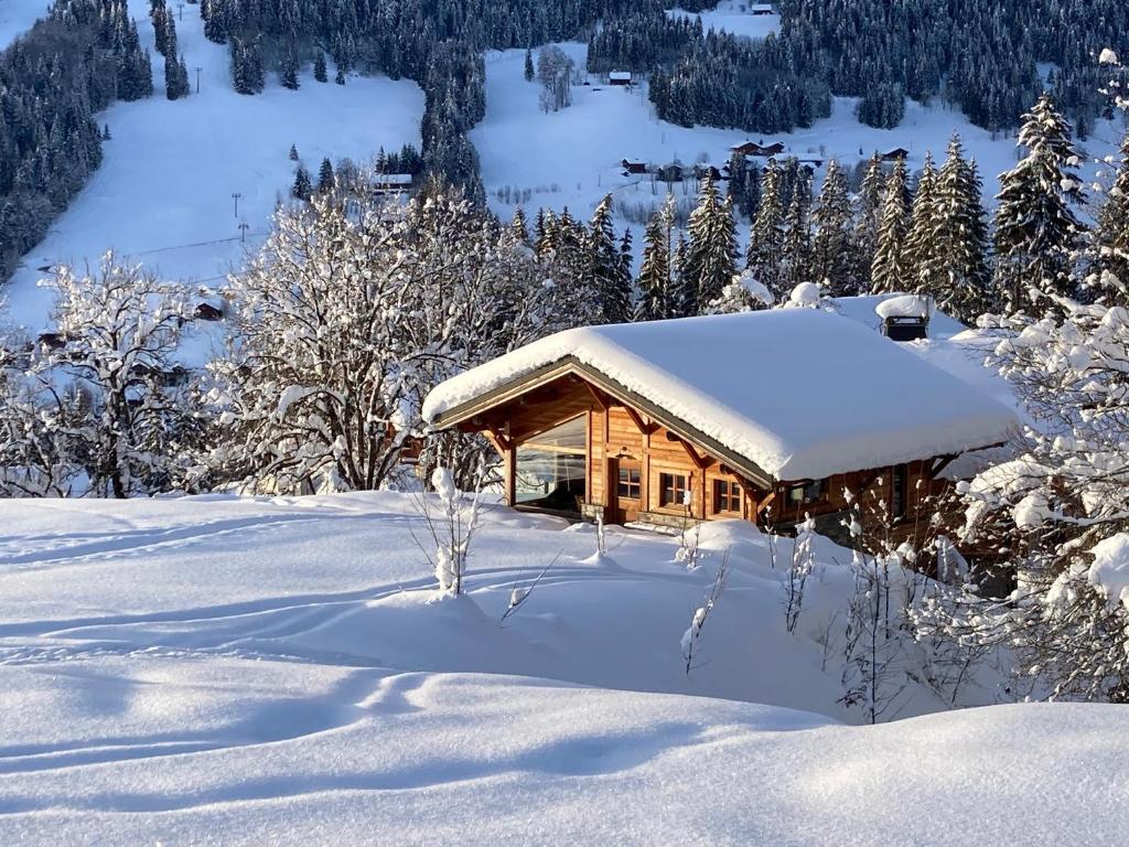 Chalet Alpavi - Les Gets - ski in out - 1
