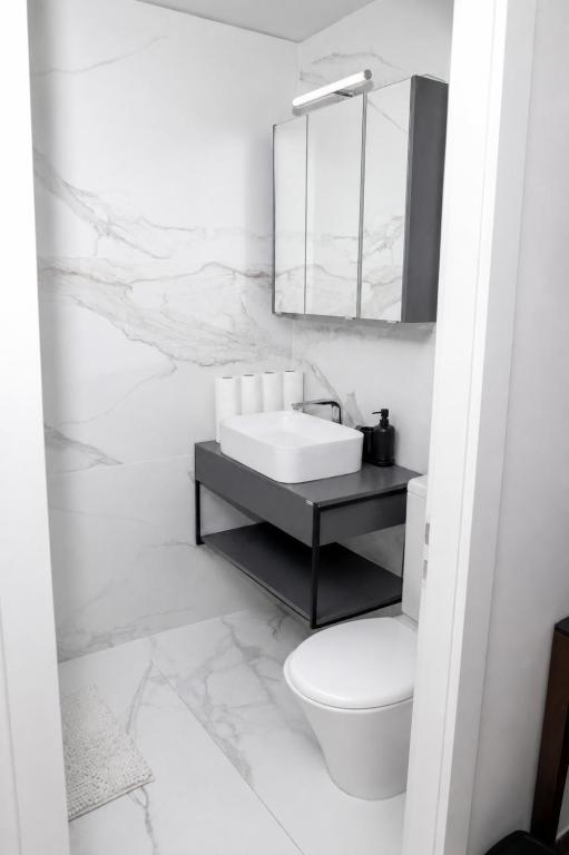 Appartement Studio - 1