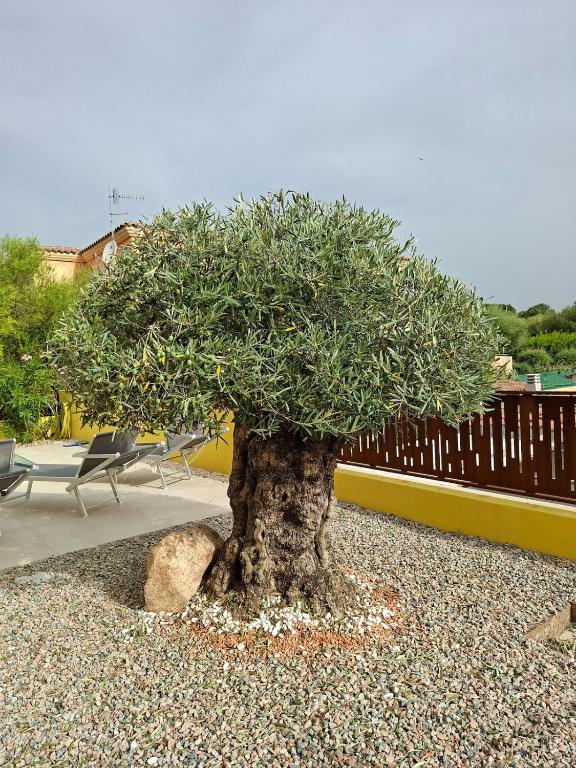 Villa Moon San Teodoro - 4