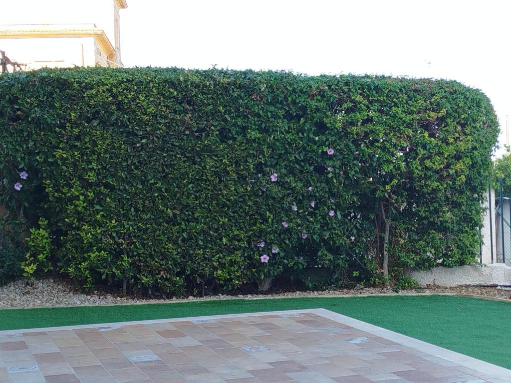 Il Giardino sul Golfo - 5