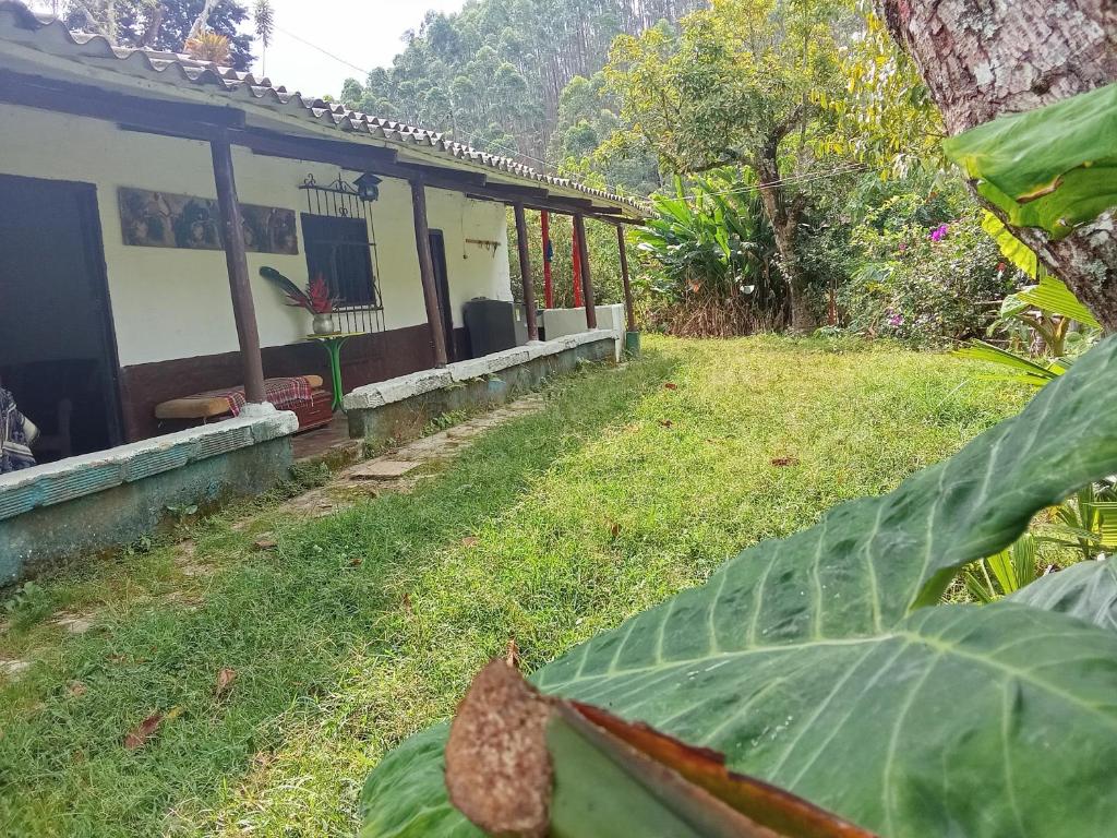 Finca tLa Menguate - 3