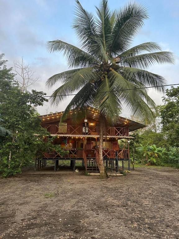Casa Coral - 1
