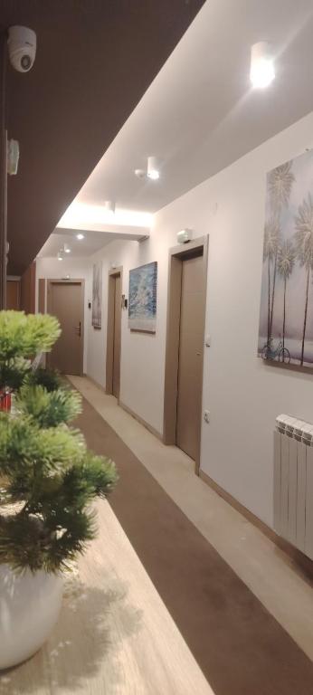 Dream House - 1