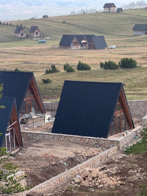 Durmitor Bear - 3
