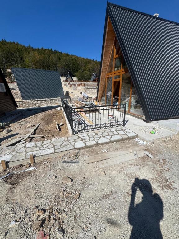 Durmitor Bear - 4