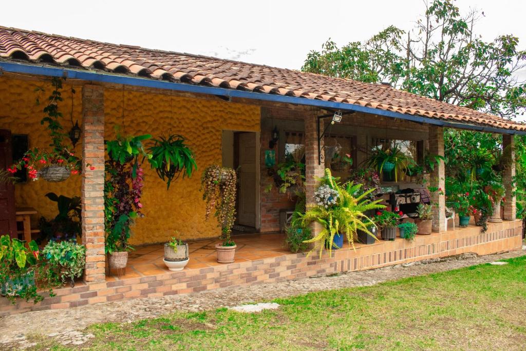 Cozy Country House with Spacious Gardens - 1