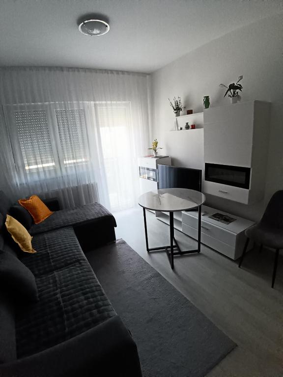 Apartmani Banja Koviljaca - 1