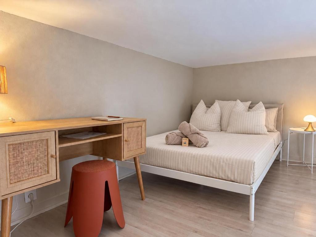 Le Lazare - Perpignan hyper centre - Clim - 2