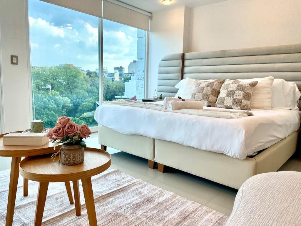 Beautiful and Comfortable in Condesa - 4