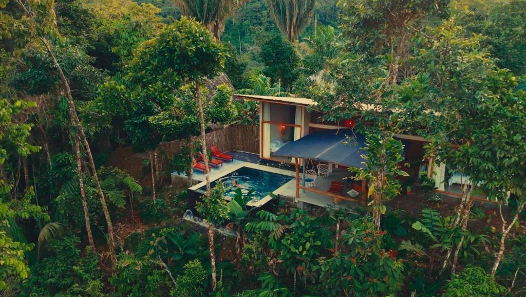 Wild Wasi - Private Jungle Villa - 1