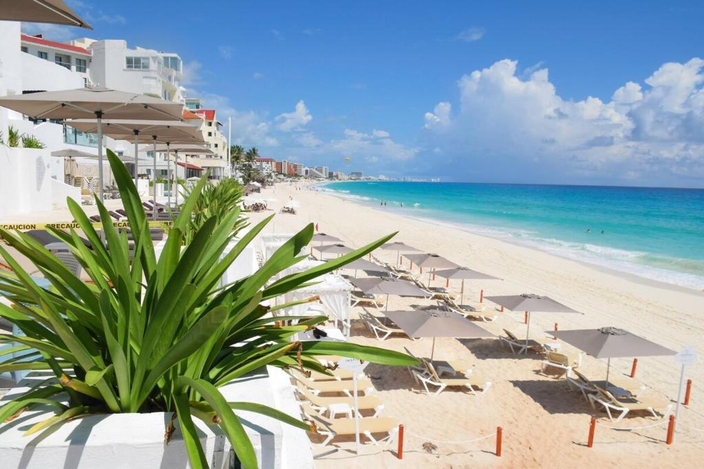 Brand new beachfront apartment, waking up to the sea - 2