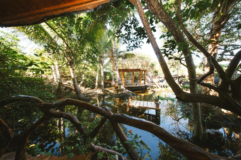 Simbiosis Treehouse Lower Suite - 3