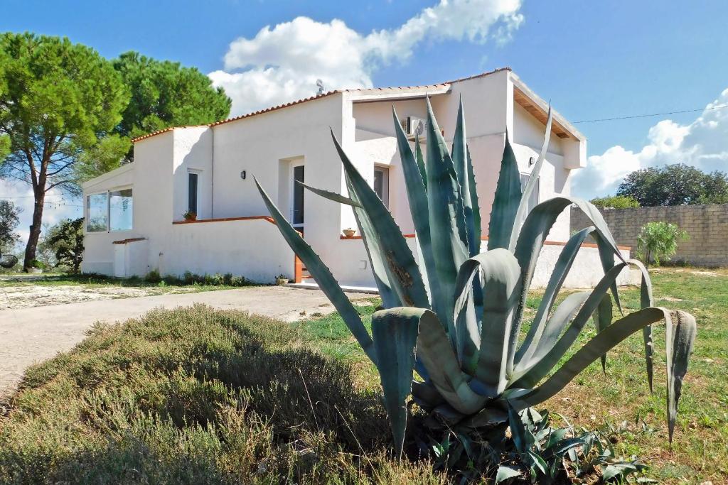 Zabbara Holiday Home - 1