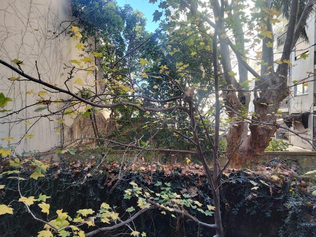 Duplex 2 ambientes Piscina Sauna Laundry Palermo - 4