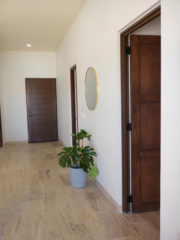 Dream Getaway Near the Ocean Los Cabos - 2