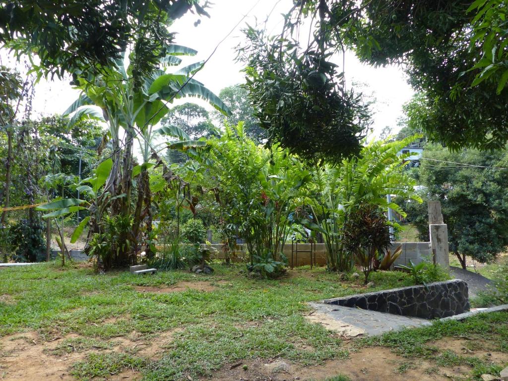Surrounding environment