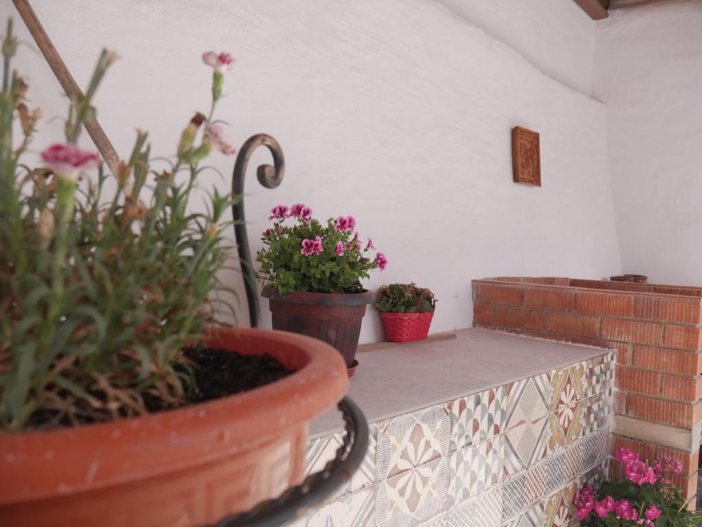 Casa Consuelo - 2
