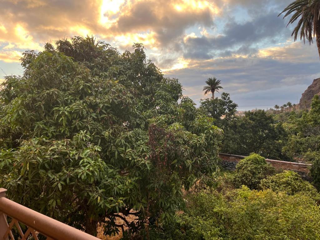 Finca 3 - 5
