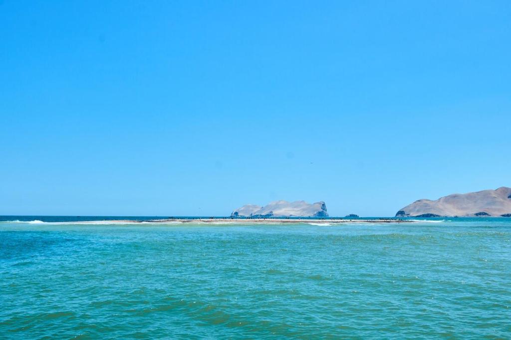 A harmonious mini-apartment one block from the sea in La Punta - 3