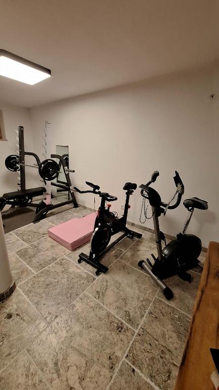 Altholz Chalet mit Garten und Fitnessraum in Söll - 4