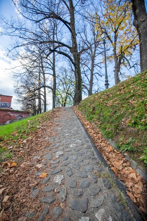 L'Essenziale Fronte Mura, Luxury stay in Lucca city center with private parking - 5