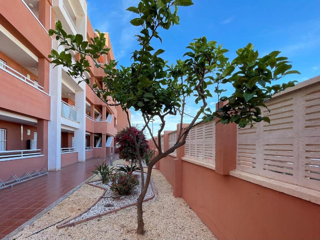 Coastal Family Apartment in Roquetas de Mar - 1