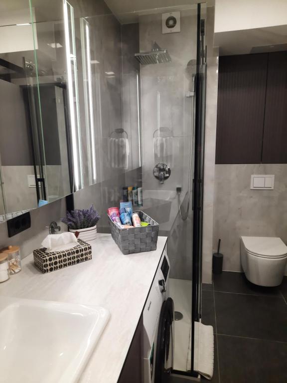 Apartman Silver - 3
