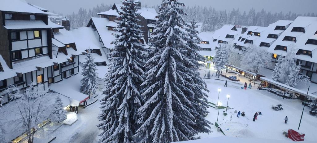 Kockica Kopaonik - 1
