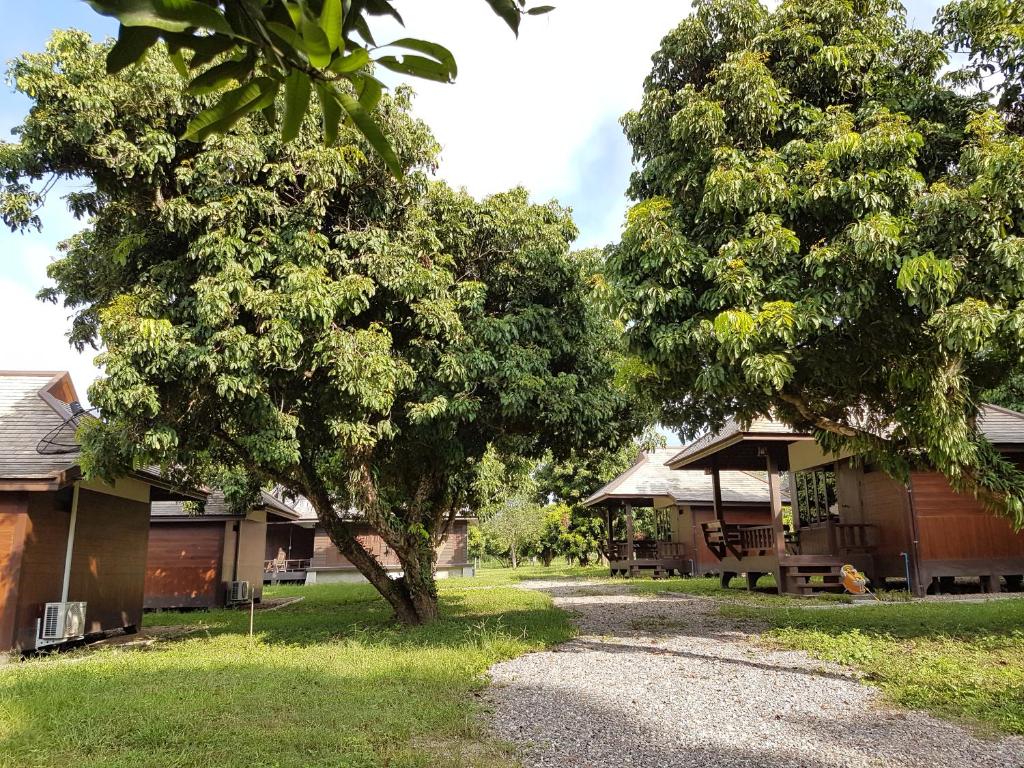 Surrounding environment