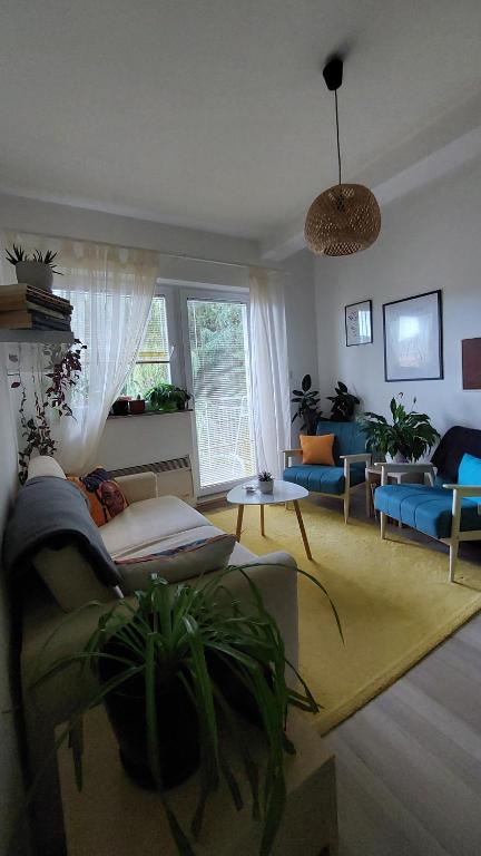 Apartman Šareni kutak Pale - 4