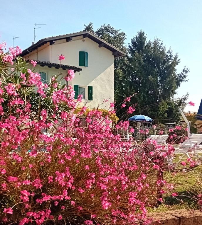 Agriturismo Ca' Castellani - 3