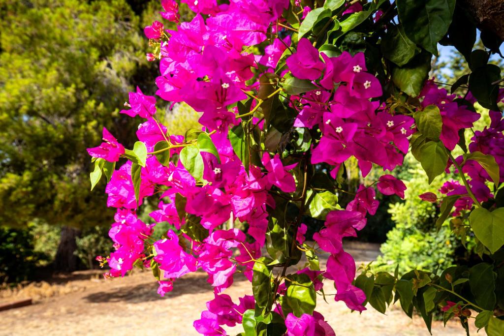 VILLA en ESTEPONA CASA CLETO Y ANGELITA - 2