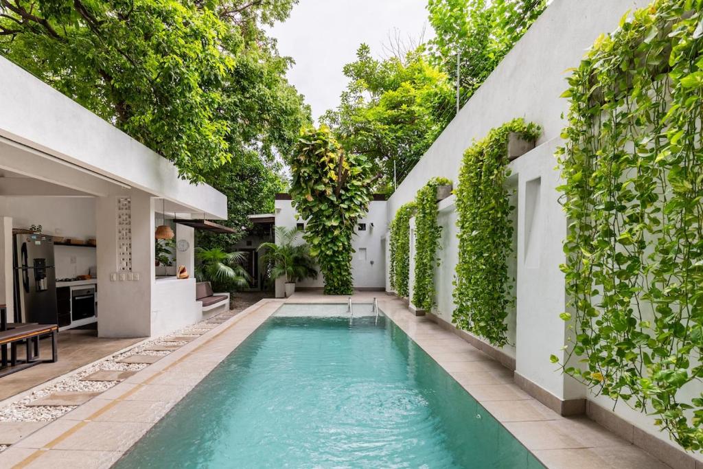 Casa Palenque - Amazing retreat with private pool - 1