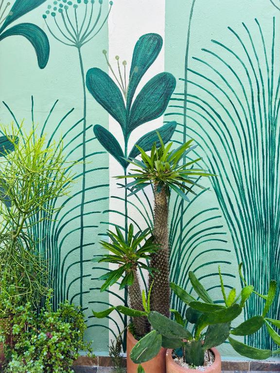 Casa Magu Merida - 3