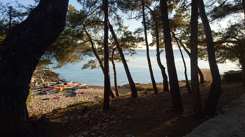 Losinj Glamping - Camp Cikat - Wild photo