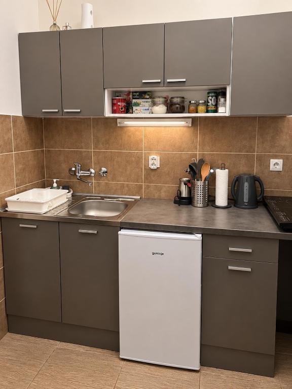 L Apartment Obilic - 5