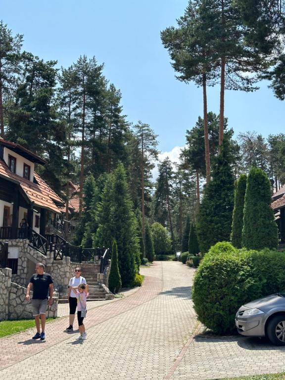 KRALjEVI KONACI ZLATIBOR - 2