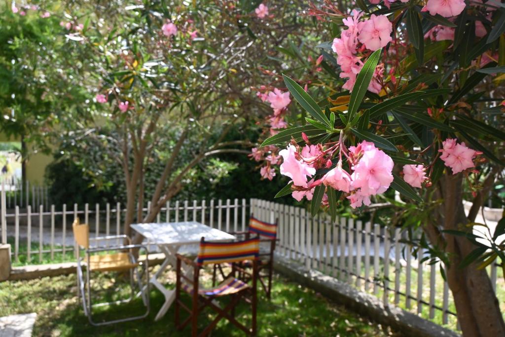 N303 - Comodo appartamento con giardino a Numana - 1
