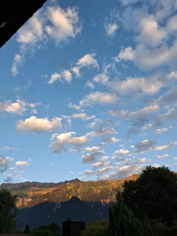 Aare and mountains near Interlaken - 2