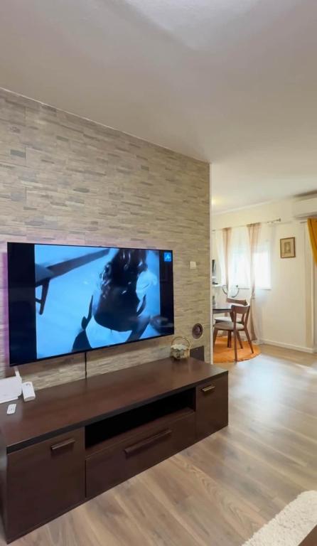 Palada 1 Spacious 3-Bedroom Apartment in Podgorica - 3