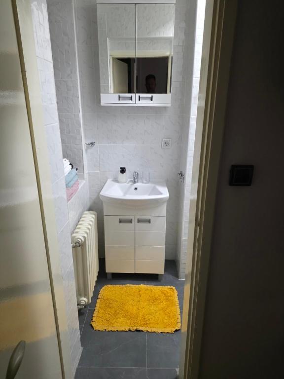 Guesthouse Banjac - 2