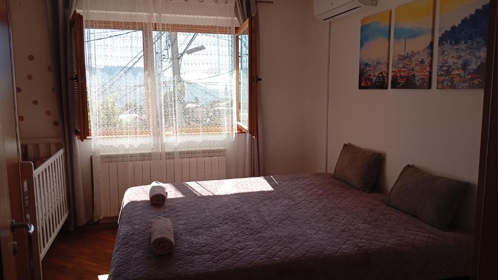 Apartman sa garažom i internetom - 1