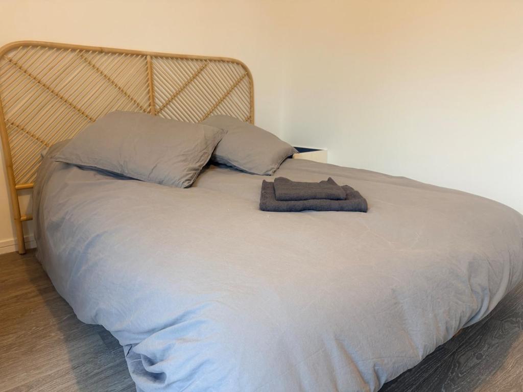 METZ Sleeps 5, balcony, 1 parking space, elevator - 4