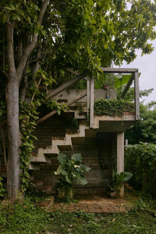 CASa JUNGLa - 4