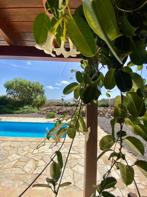 Villa en zona tranquila de Lajares VISTA CALMA - 4