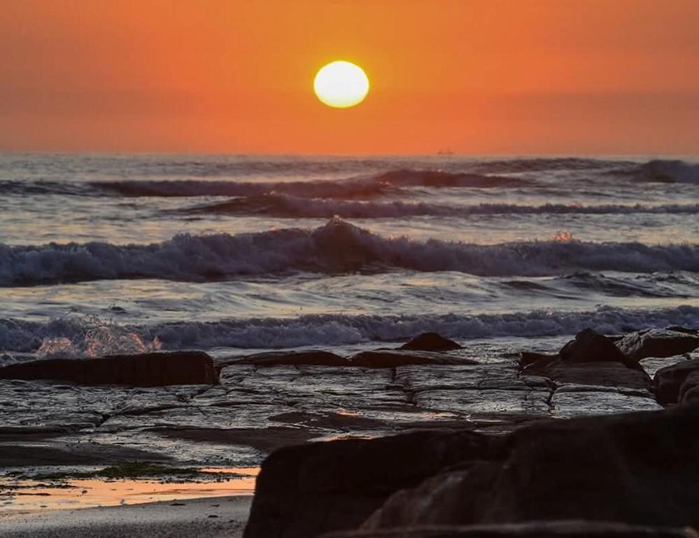 Cerca del Mar - 1