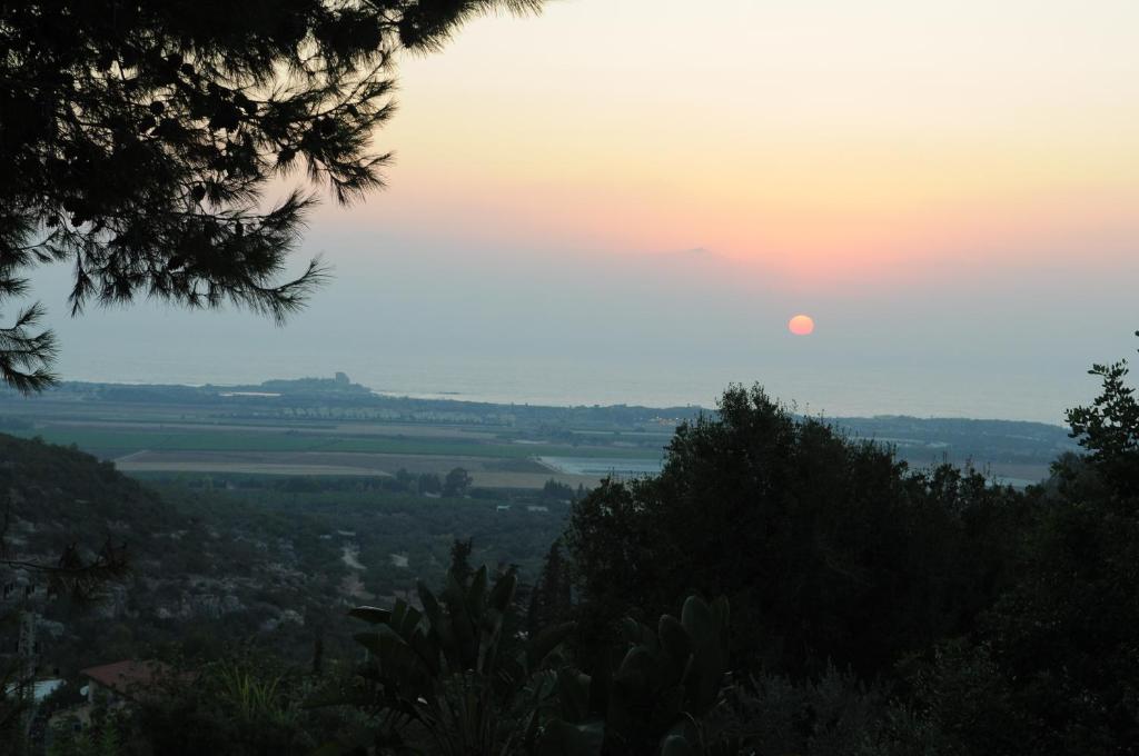 View