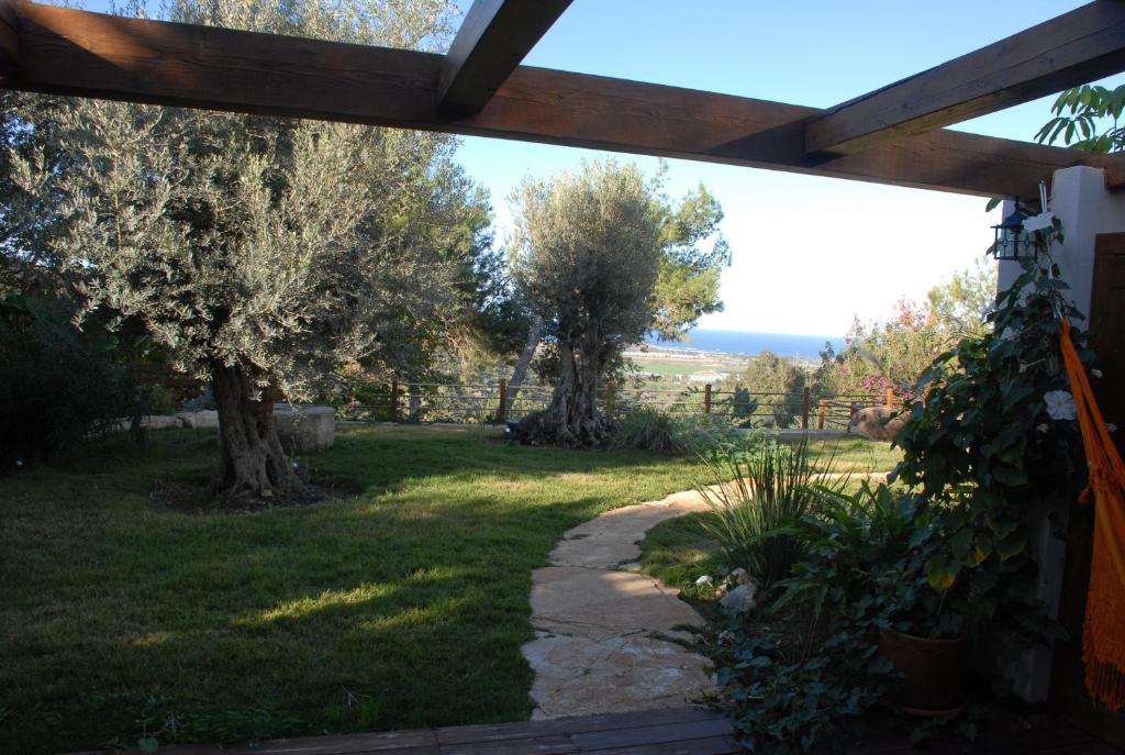 View