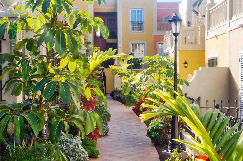 Cozy apartment in Palm-Mar 60 m² with shared pool - 3