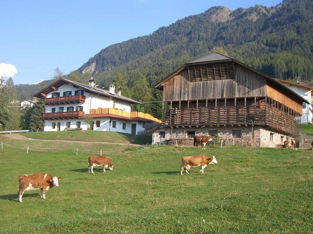 Kompatscherhof - 5